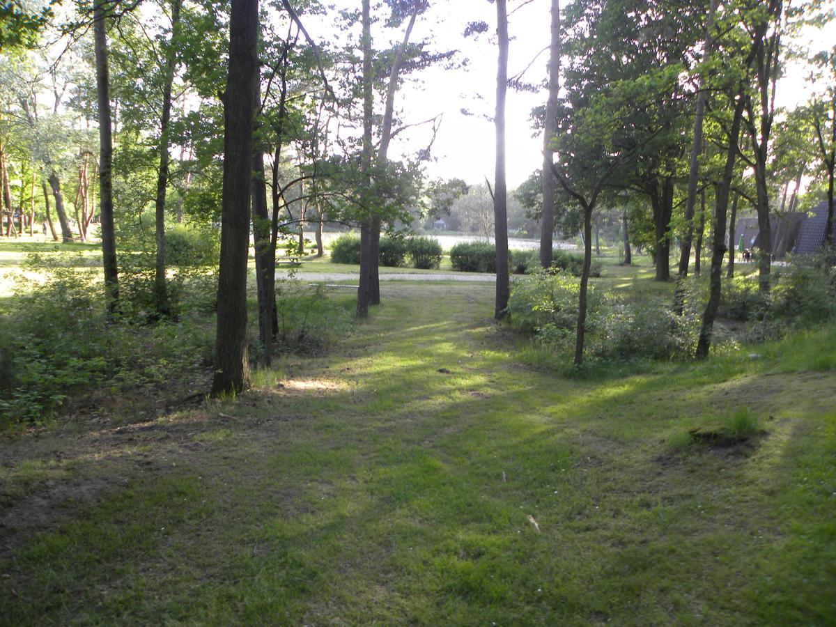 Comfortabele Vrijstaande Bungalow 3 Stramproy Exterior photo